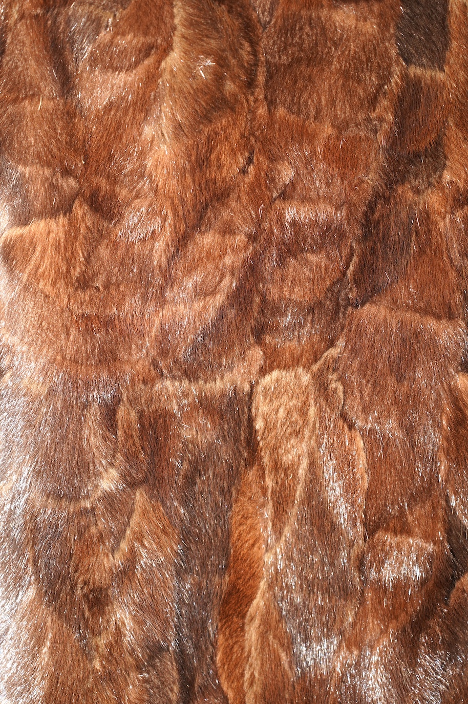 A musquash fur full length coat, a musquash fur three quarter length coat and a mink fur bolero, all approx. size 12. Condition - fair to good